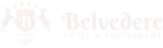 Hotel Belvedere - Sestriere - 4 stelle hotel - Hotelbelvederesestriere